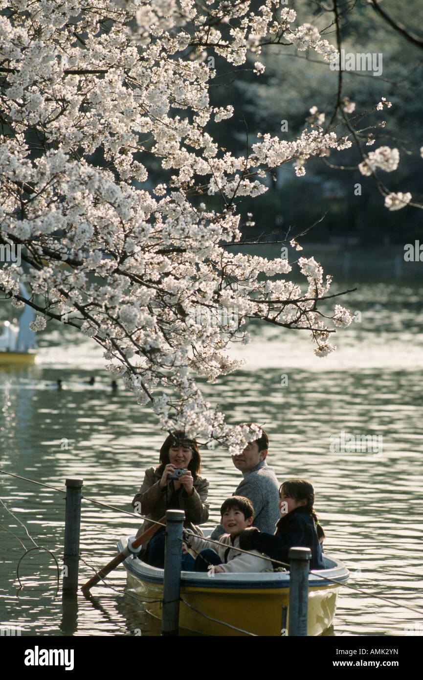 Tokyo Giappone Hanami nel Parco di Ueno locali girare fuori in grandi numeri per ammirare la primavera di fiori di ciliegio Foto Stock