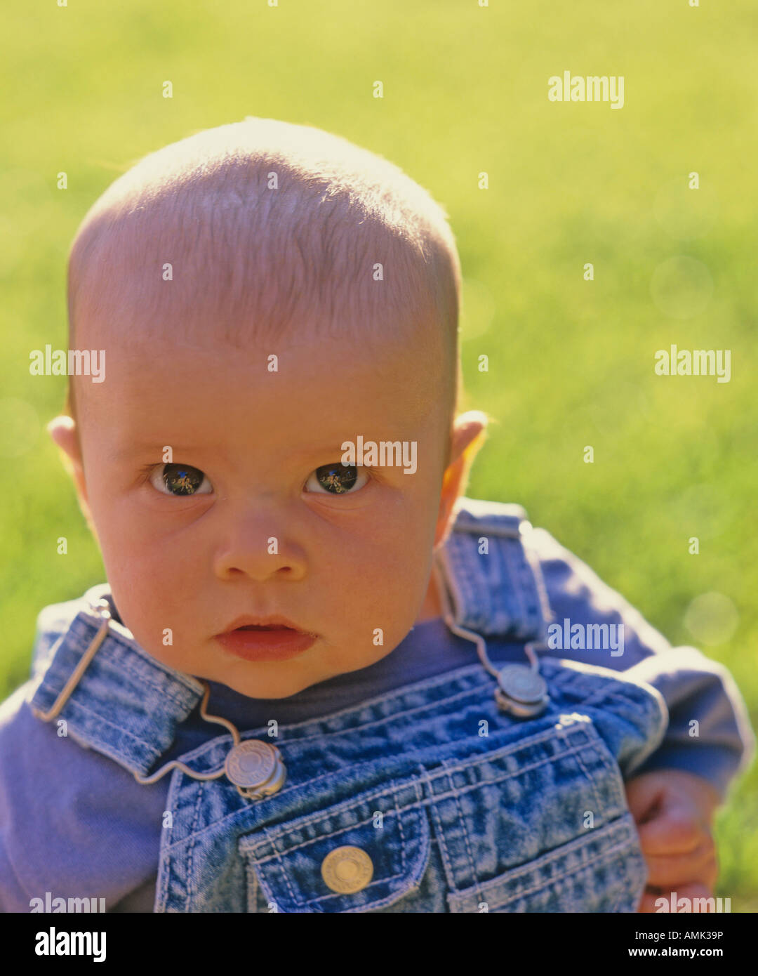Baby boy 8 mese vecchio seduto su un'erba Foto Stock