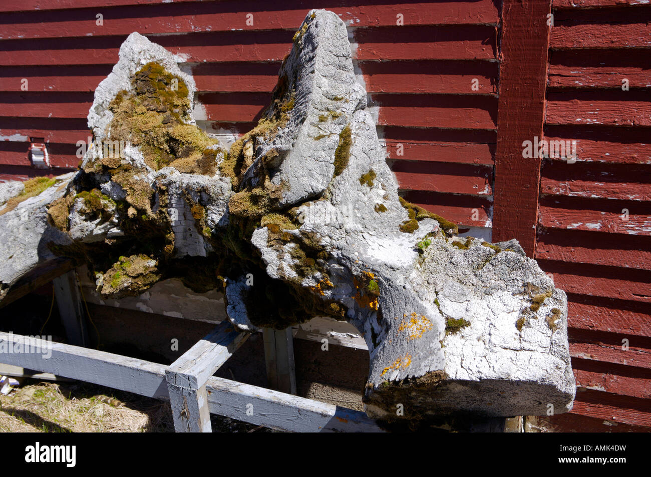 Grande balena osso in corrispondenza della Baia Rossa Sito Storico Nazionale del Canada - Centro di Interpretazione, Viking Trail,Canada Atlantico, Canada Foto Stock