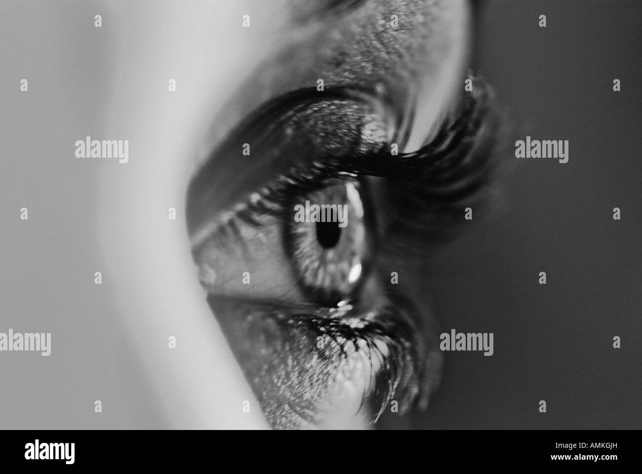 Immagine in bianco e nero di un occhio umano Foto Stock