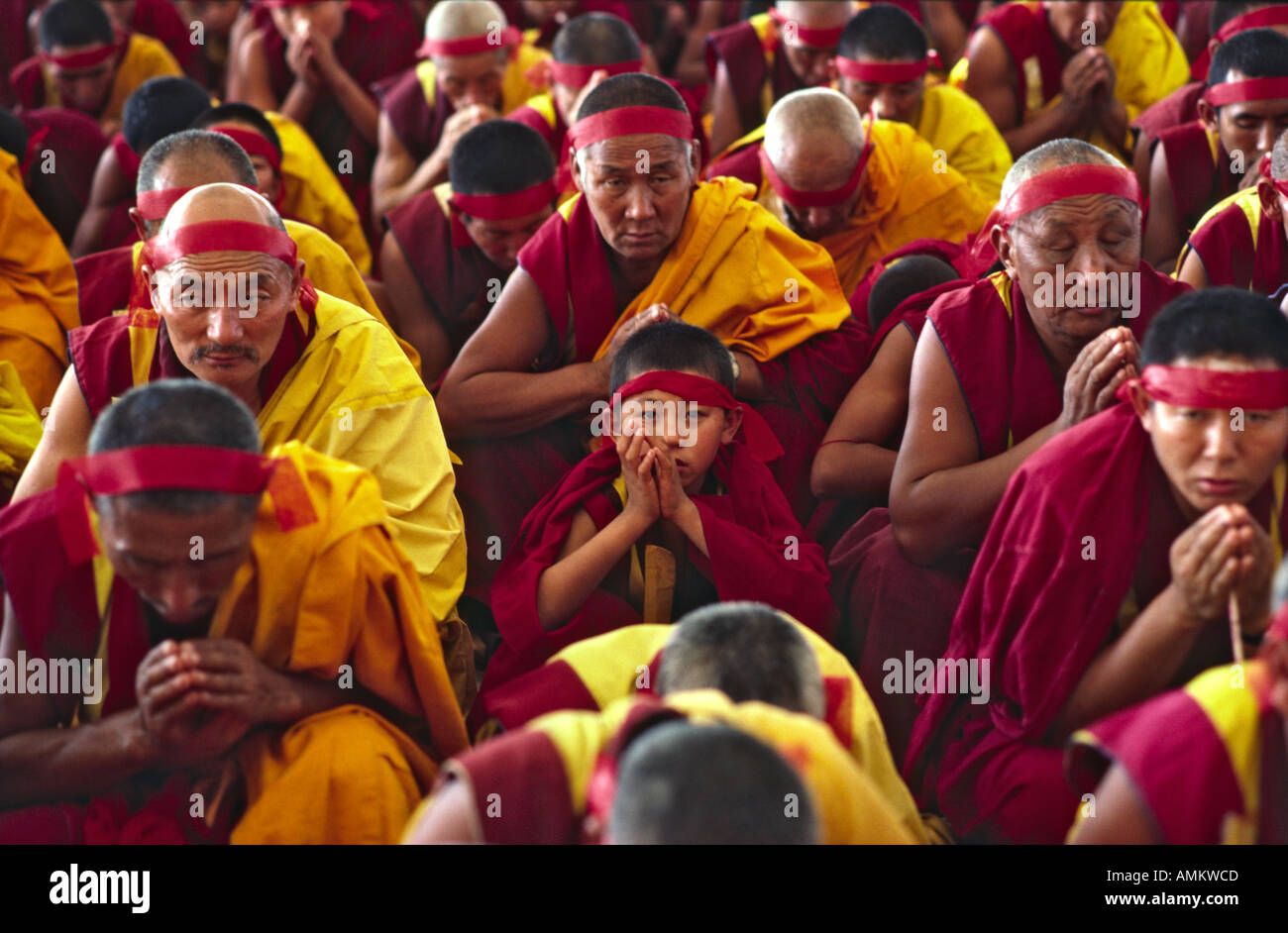 Rifugiati tibetani monaci in preghiera presso un festival buddista ospitato da H.H. Dalai Lama a Bodh Gaya, Bihar, in India Foto Stock