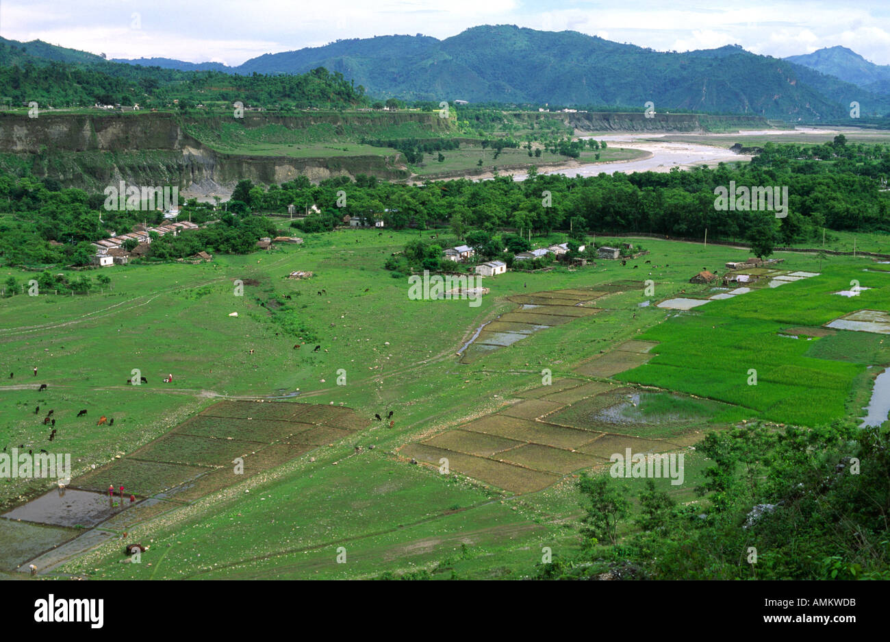 Una vista del paesaggio di le risaie e un piccolo villaggio agricolo nella valle di Seti. Il Nepal Foto Stock