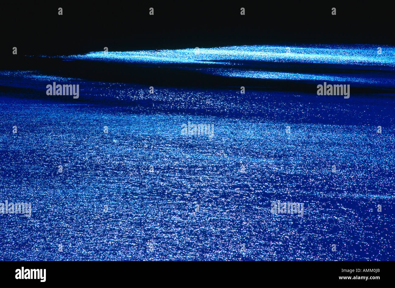 Lago Reesor, Cypress Hills Parco Provinciale, Alberta, Canada Foto Stock