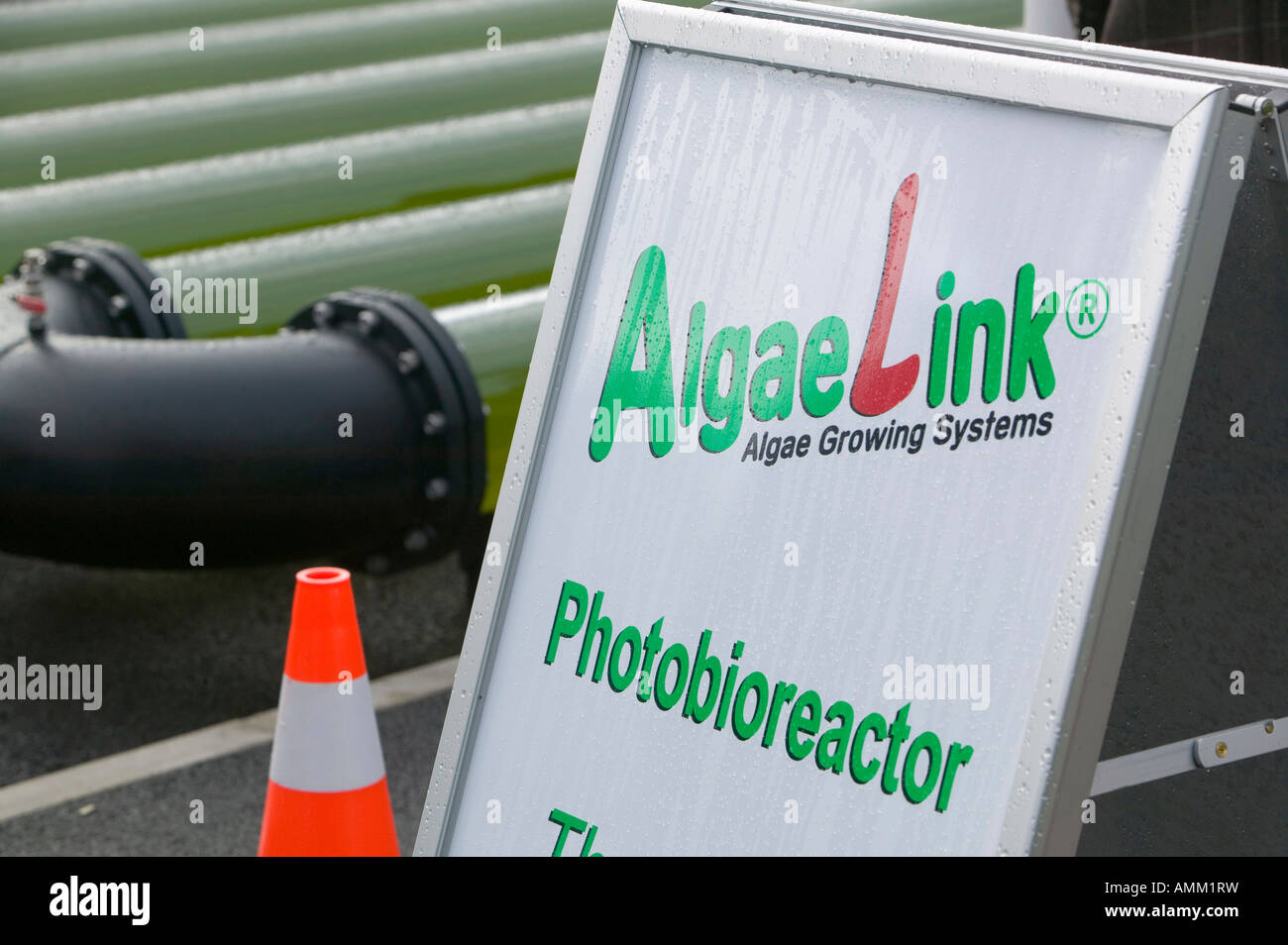 Un AlgaeLink alghe sistema di coltivazione che viene raccolto per rendere l'etanolo e il biodiesel Foto Stock Un AlgaeLink alghe sistema di coltivazione che viene raccolto per rendere l'etanolo e il biodiesel Foto Stock