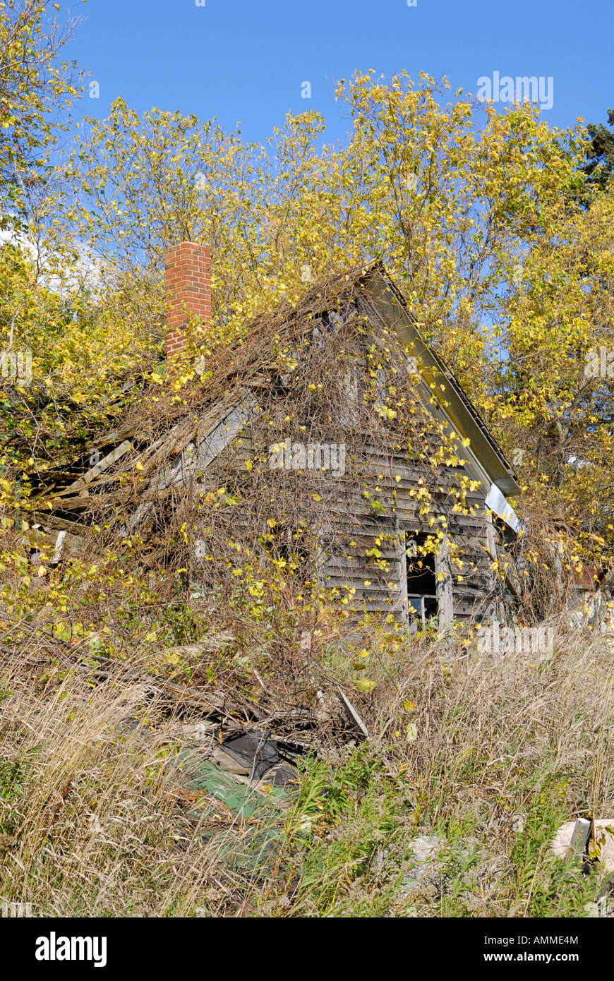 Fatiscenti una vecchia fattoria in un campo durante il periodo autunnale vicino a Port Austin Michigan Foto Stock