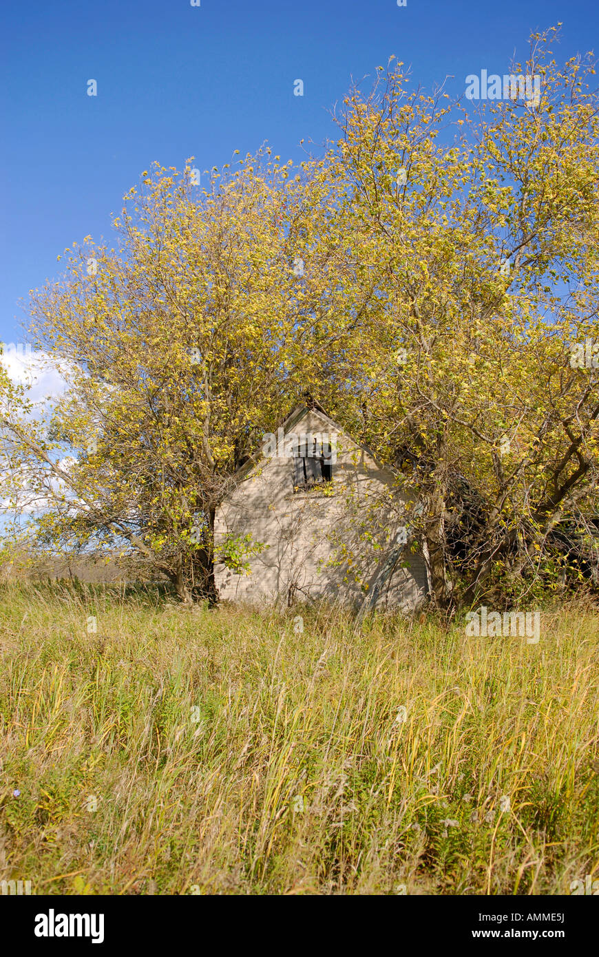 Fatiscenti una vecchia fattoria in un campo durante il periodo autunnale vicino a Port Austin Michigan Foto Stock