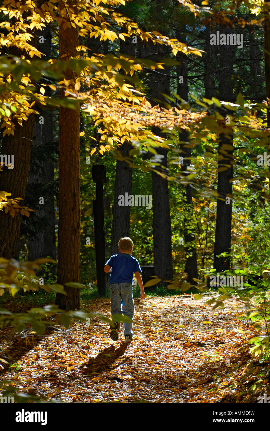 Piccolo ragazzo fino a piedi percorso durante la caduta di colori a Mitchell parco dello stato in Cadillac Michigan Foto Stock