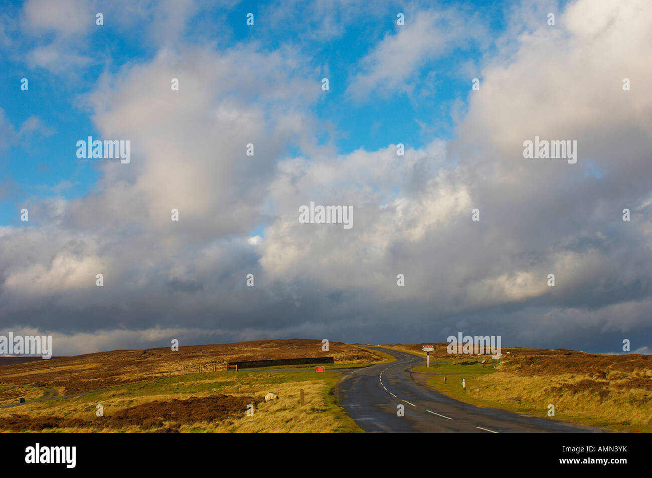 Moor presso Blakey Ridge con drammatica nuvole. North Yorkshire Moors National Park in Inghilterra Foto Stock