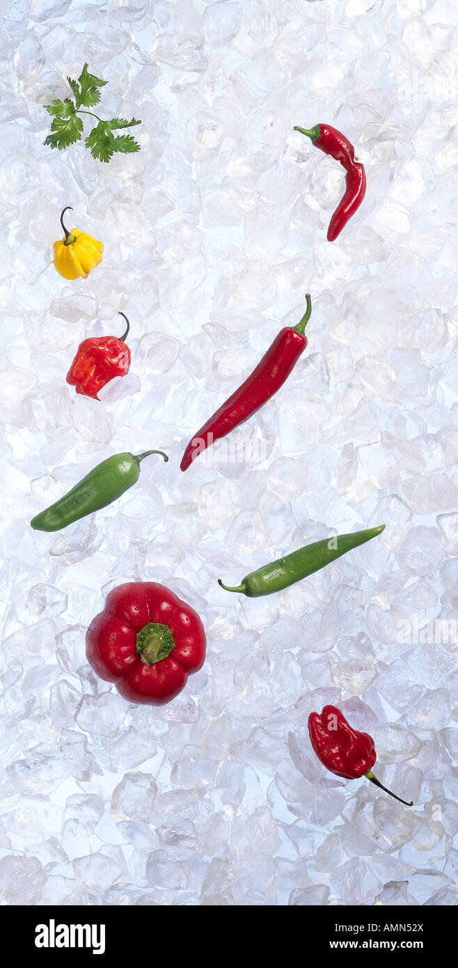 Ghiaccio e peperoni Foto Stock