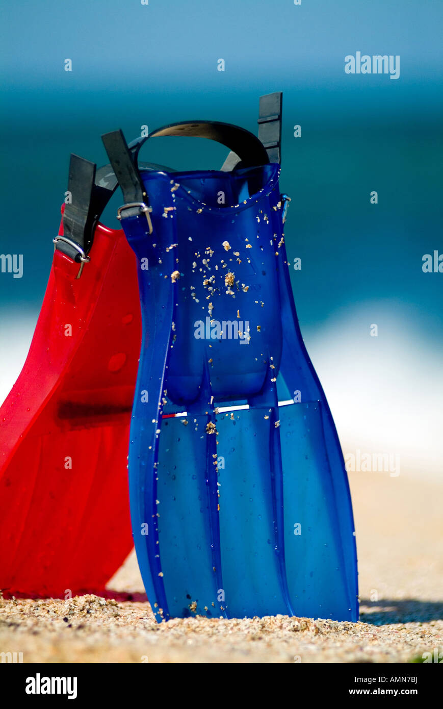 Le pinne sulla spiaggia Foto Stock