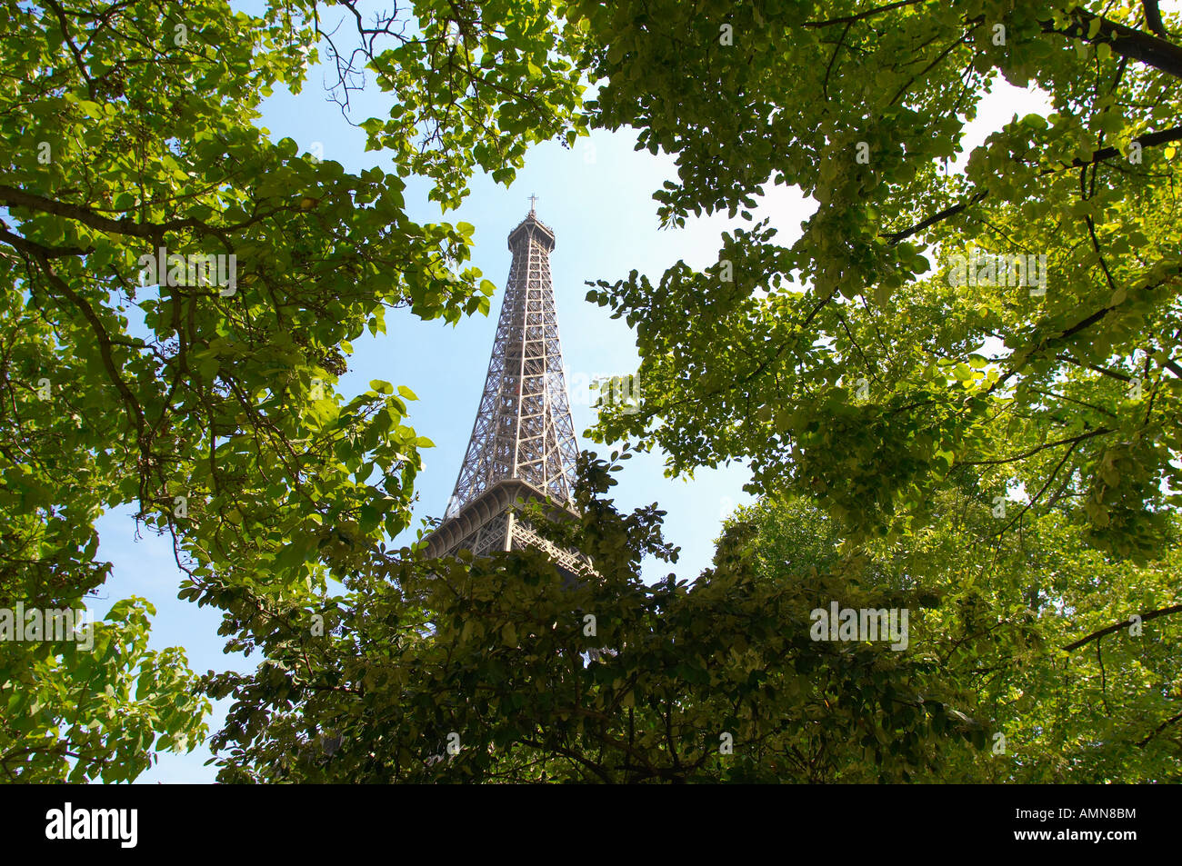 Parigi Francia Torre Eiffel attraverso gli alberi Foto Stock