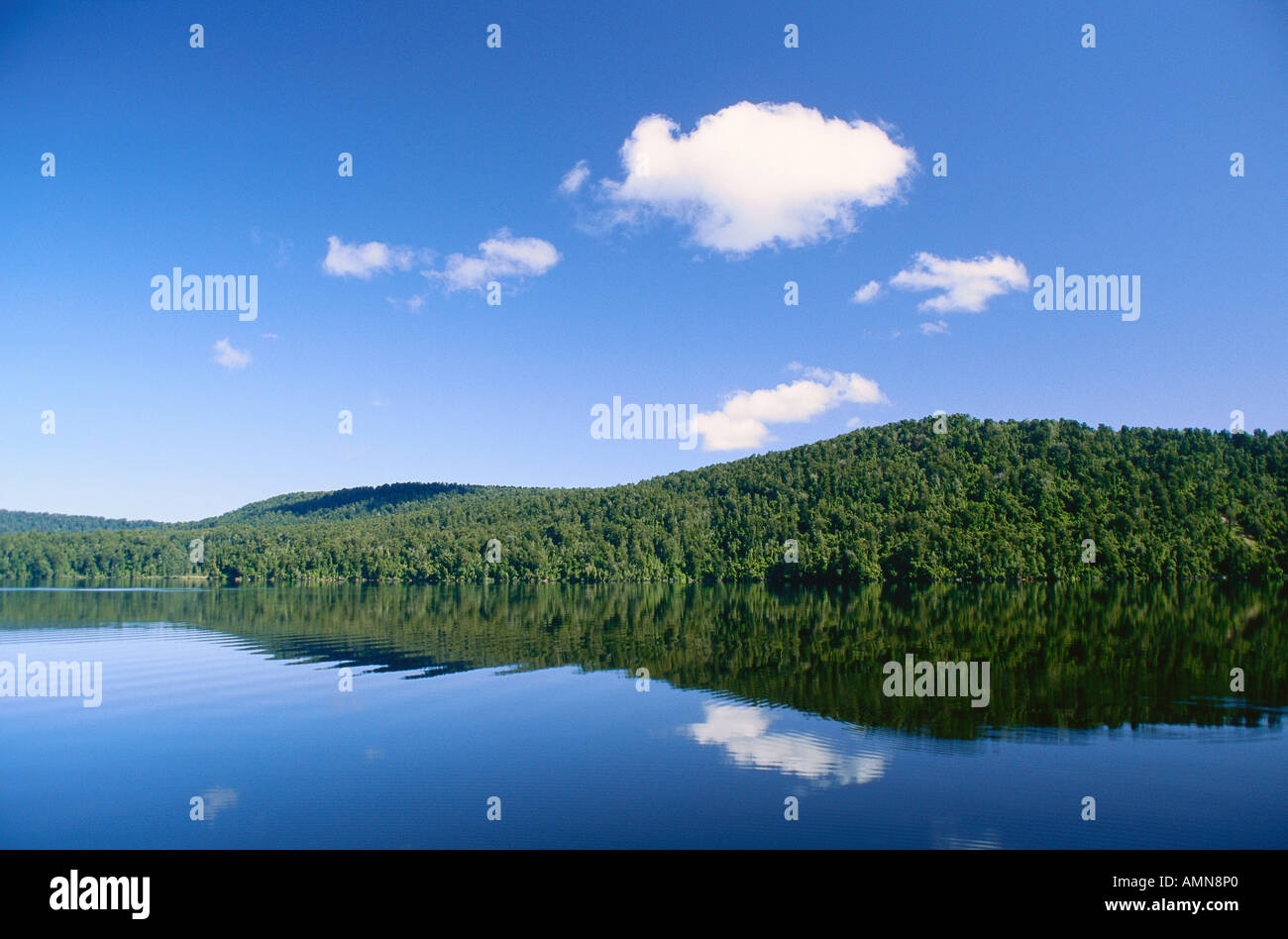 Lago Mapourika con nuvole, Isola del Sud, Nuova Zelanda Foto Stock