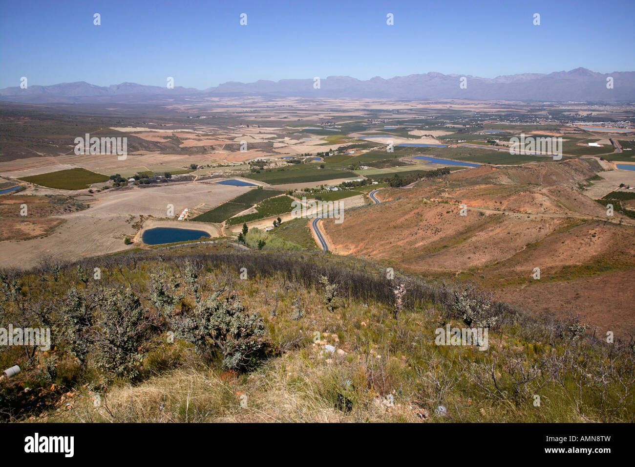 Vista panoramica dal Gydo Pass dei campi agricoli e vigneti nella valle di Ceres verso le montagne in distanza Foto Stock