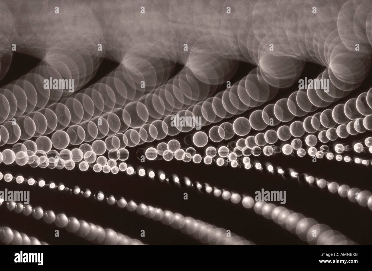 Gocce di rugiada sulla tela di ragno, Shamper's Bluff, New Brunswick, Canada Foto Stock