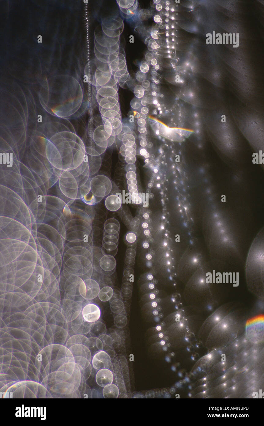 Gocce di rugiada sulla tela di ragno Foto Stock