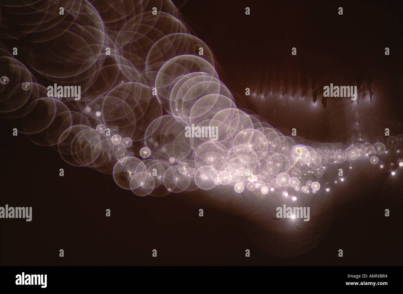 Gocce di rugiada sulla tela di ragno Foto Stock