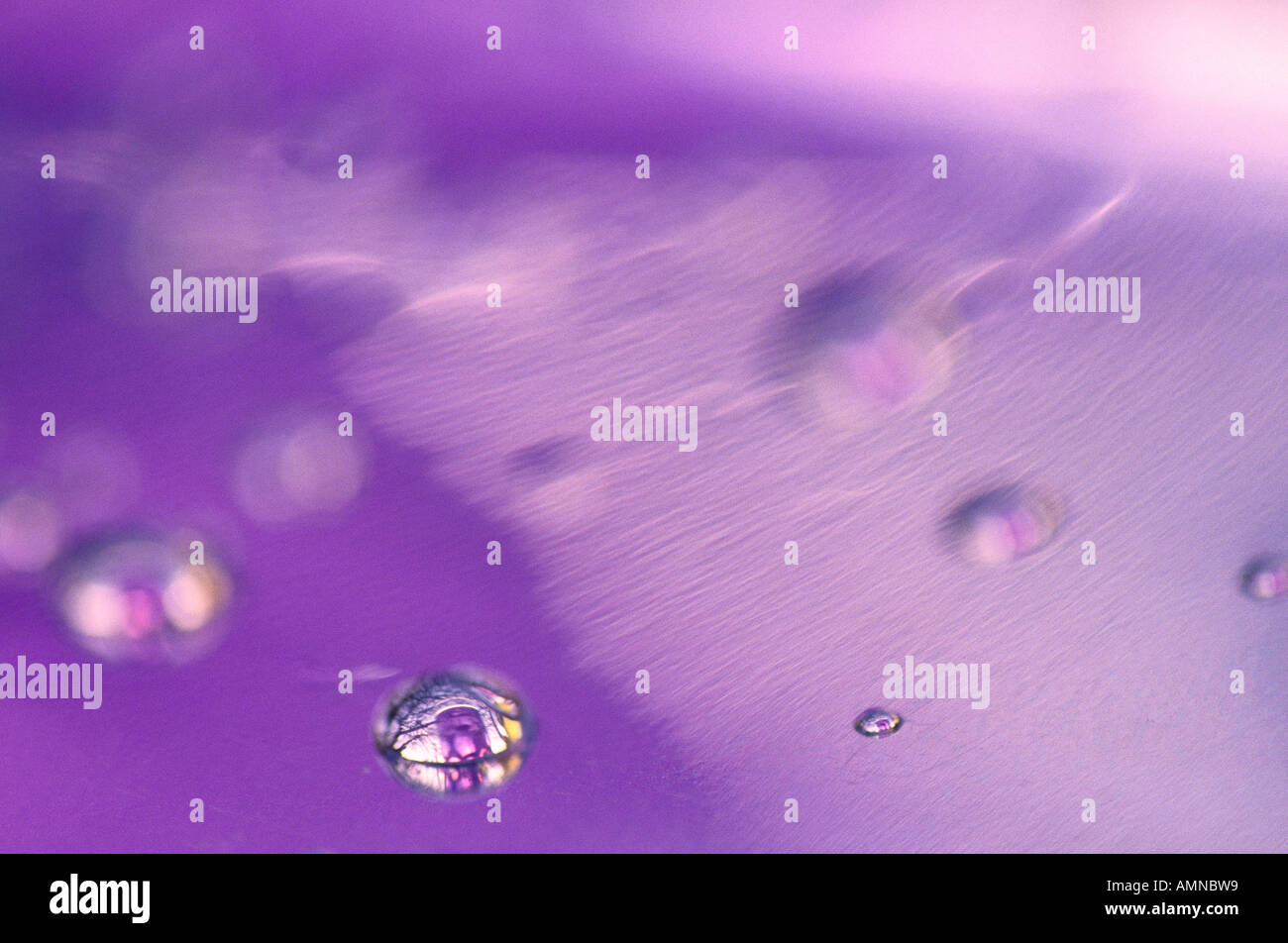 Gocce d'acqua Foto Stock