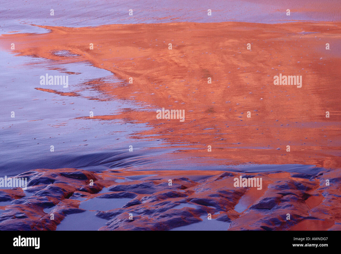 Sunrise, Point Reyes National Seashore, CALIFORNIA, STATI UNITI D'AMERICA Foto Stock