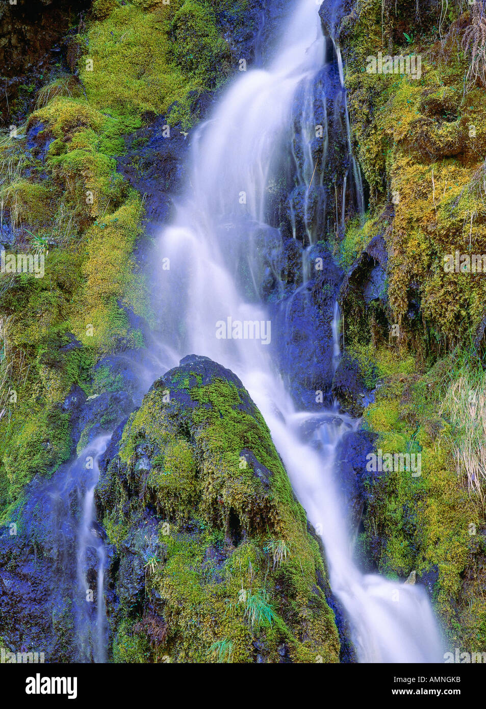 Ruscello di montagna, Parco Nazionale di Yoho, British Columbia, Canada Foto Stock