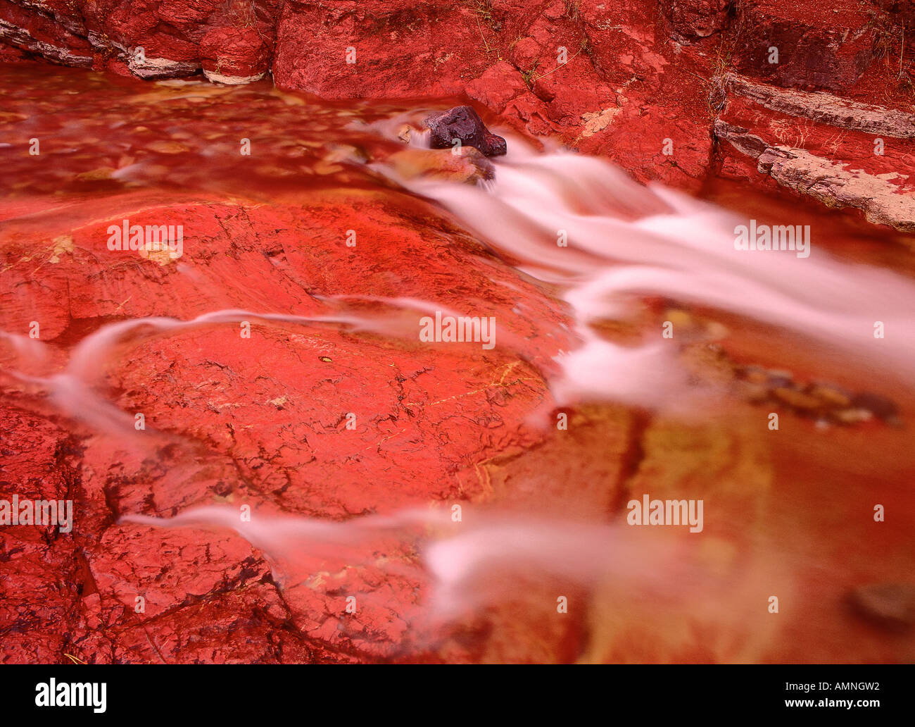 Il Red Rock Canyon, il Parco Nazionale dei laghi di Waterton, Alberta, Canada Foto Stock