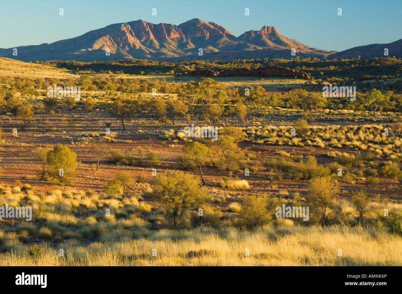Mt Sonder, West MacDonnell National Park, il Territorio del Nord Australia Foto Stock