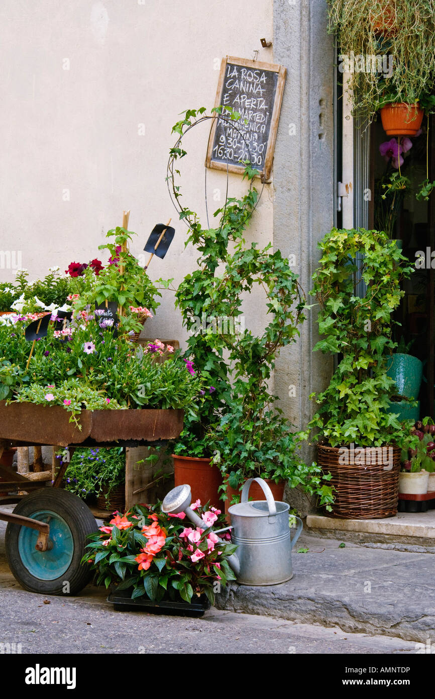 Negozio di fiori, Firenze, Italia Foto Stock