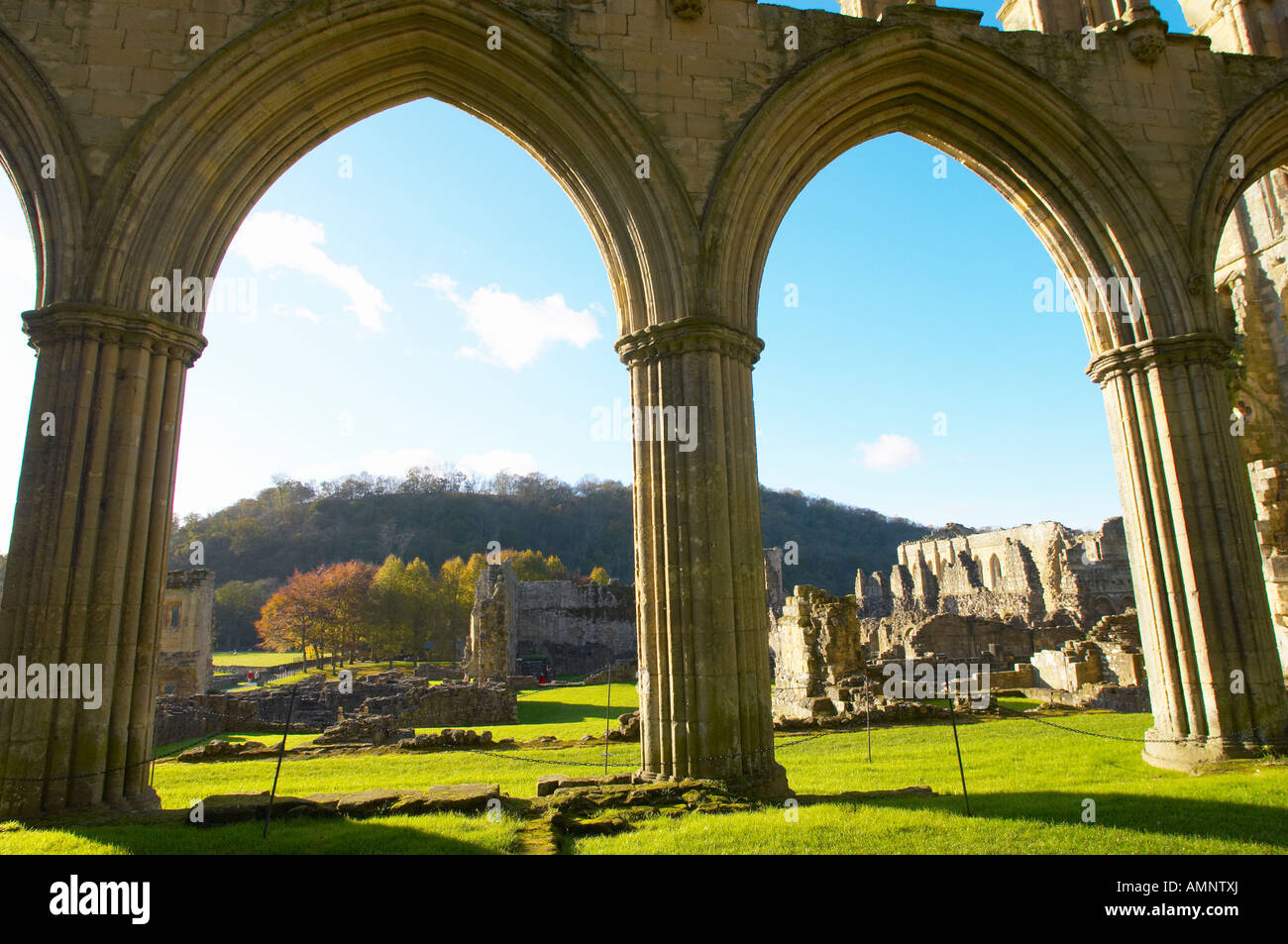 Fine del abbey con archi gotici. English Heritage site. Rievaulx Abbey, North Yorkshire National Park, Inghilterra Foto Stock