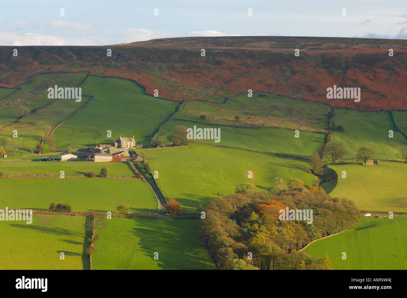 Danby dale in mori guardando giù su mori fattorie. La chiesa ospita Farndale North Yorkshire Moors National Park in Inghilterra Foto Stock