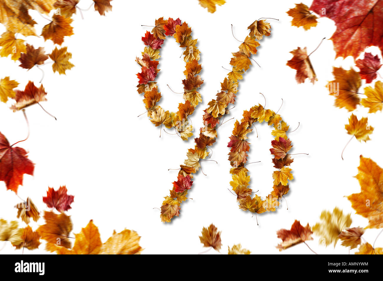 % Di sconto compone di autunno o caduta foglie. Per retail business o per pubblicizzare la vendita o la promozione di sconti Foto Stock
