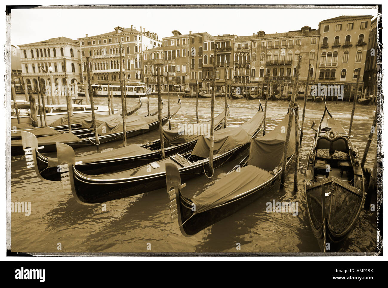 Gondole a Rialto. Venezia Italia Foto Stock