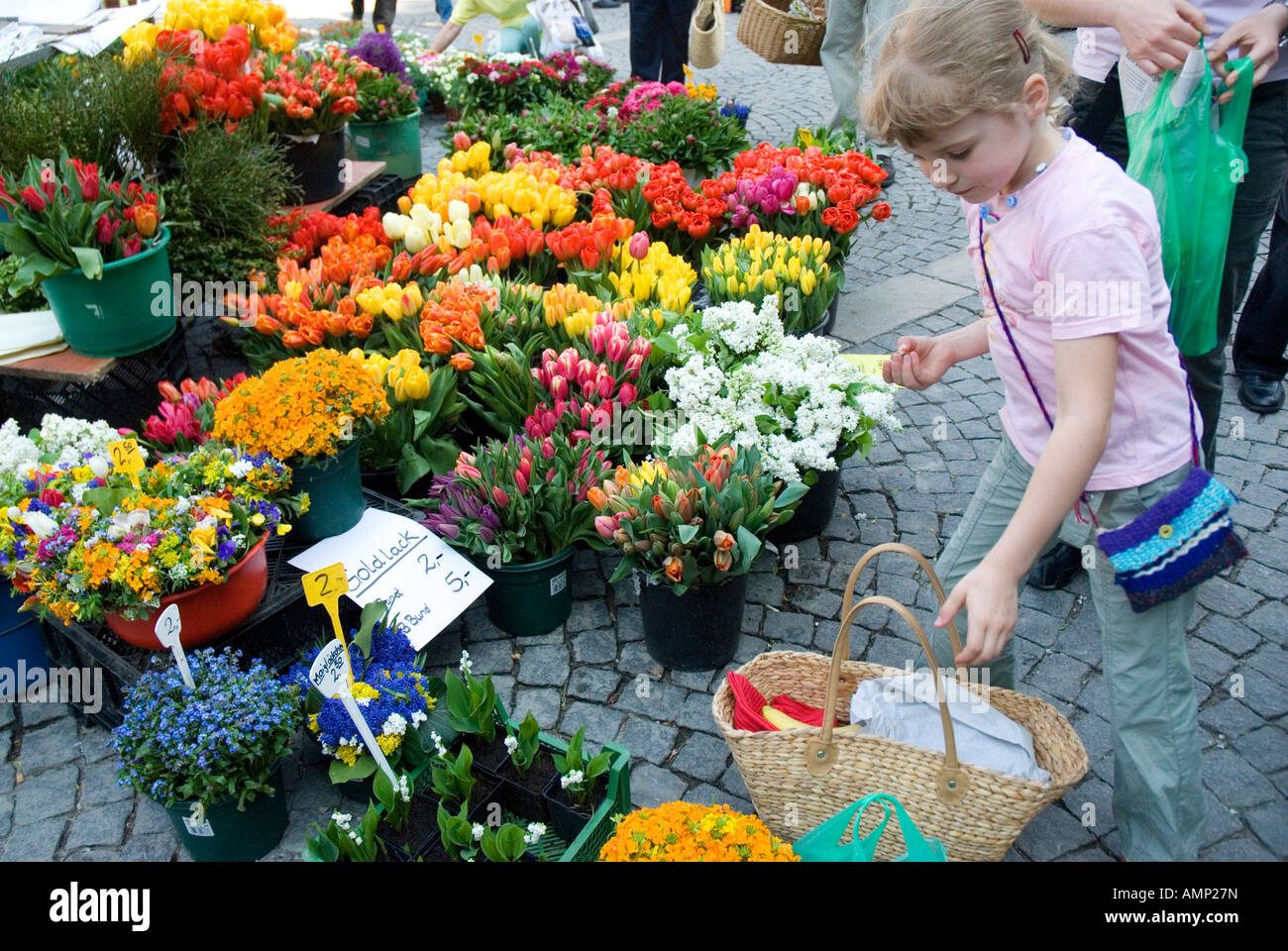 Tulipani nel mercato dei fiori a piazza Schillerplatz Stuttgart Germania Anno 2007 Foto Stock