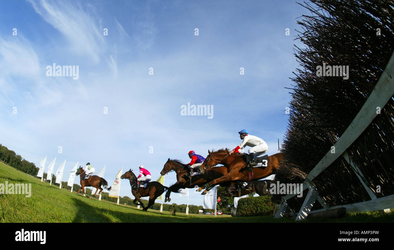 Cavalli da salto oltre un ostacolo ad una corsa di cavalli, Hoppegarten, Germania Foto Stock