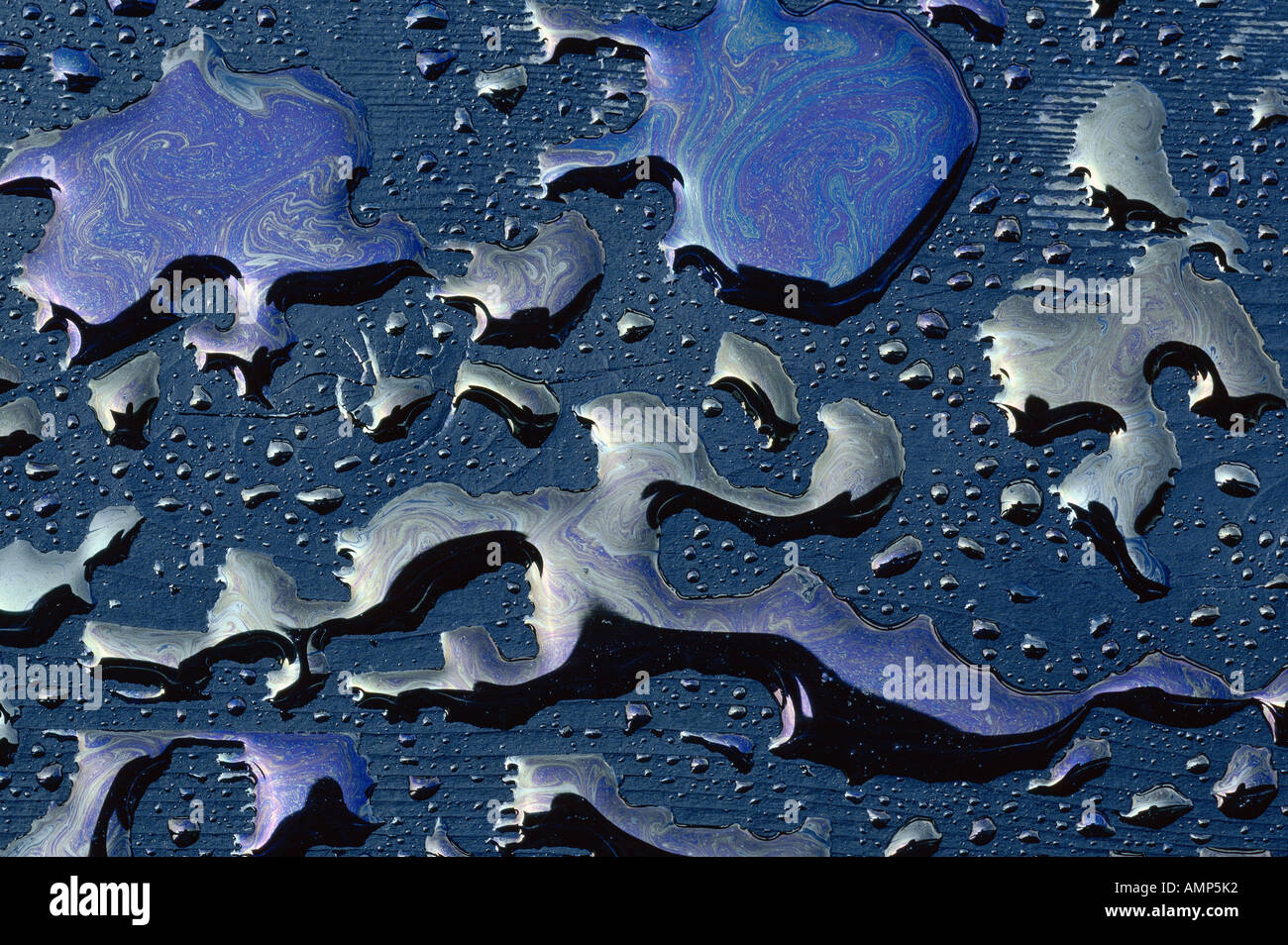 Olio e acqua, Shamper's Bluff, New Brunswick, Canada Foto Stock