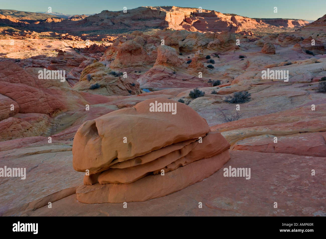 Formazioni di arenaria in Coyote buttes deserto Foto Stock