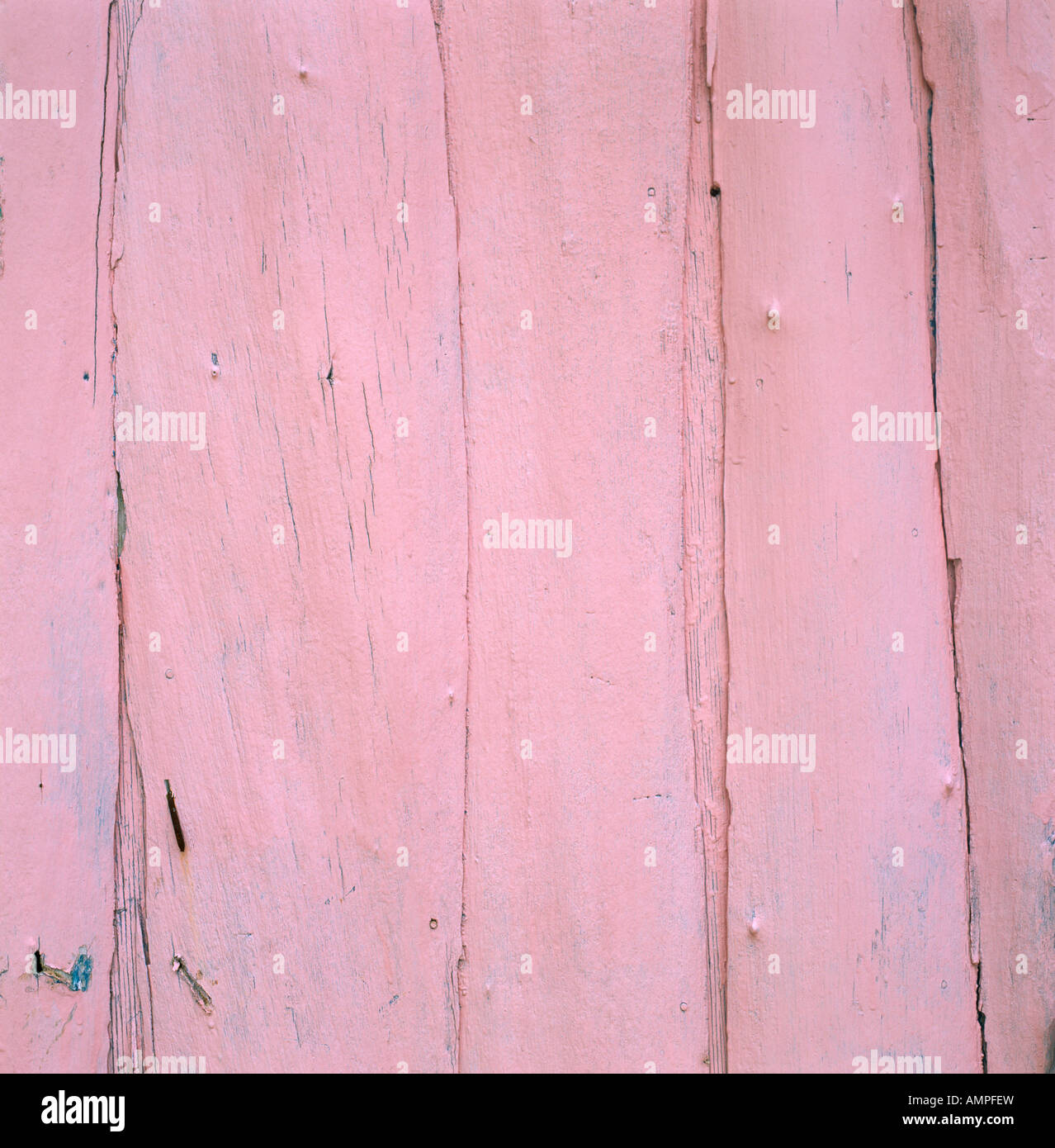 Legno di rosa Foto Stock