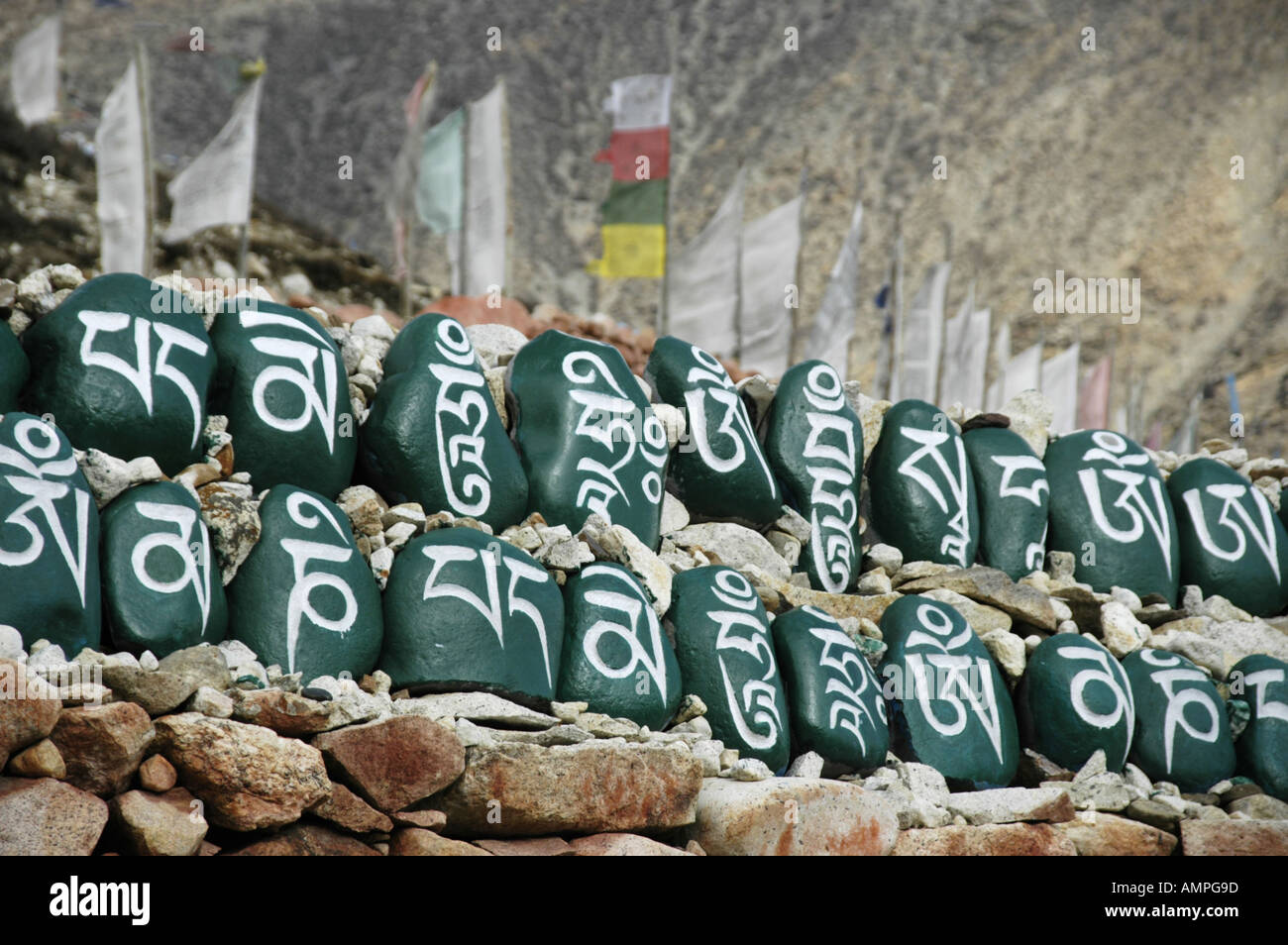 Il Tibetano dello script nel dipinto di verde pietre incastonate in una riga nella parte anteriore delle bandiere di preghiera al monastero Tashi Gompa Phu Nar Phu Annapurna Foto Stock