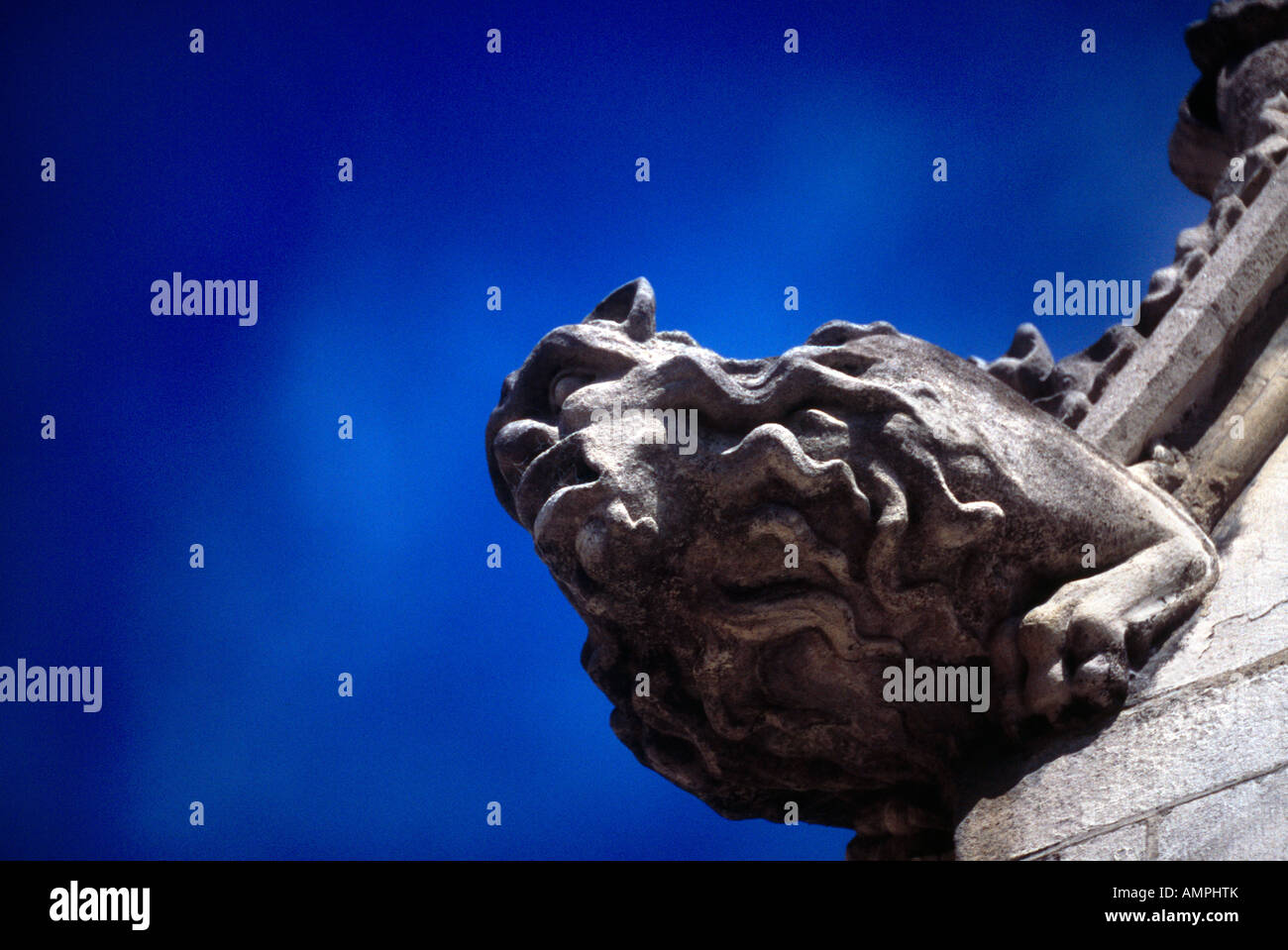 La Cattedrale di Winchester Hampshire Inghilterra Gargoyle Foto Stock