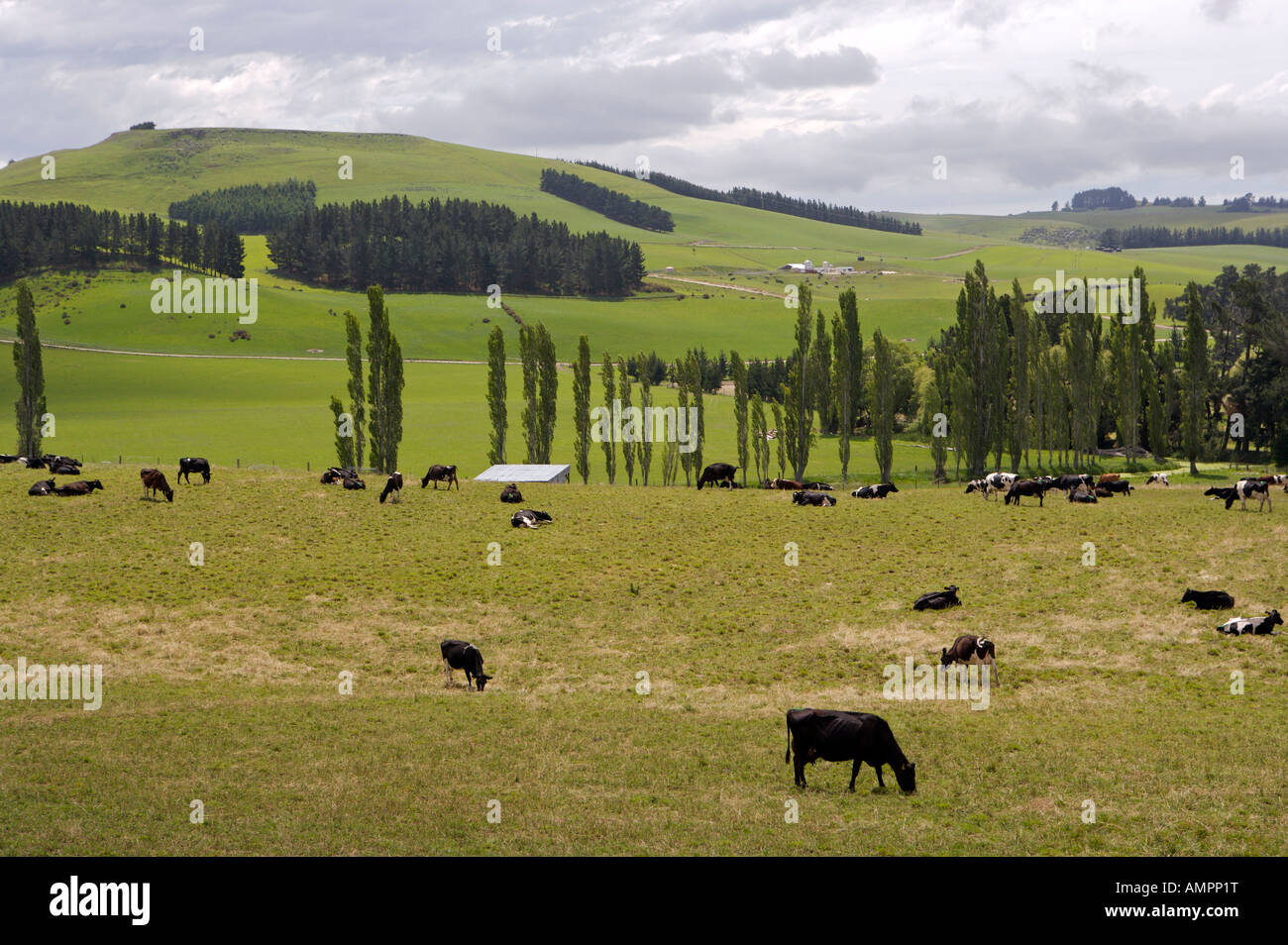 Terreni agricoli del Waitaki Valley, North Otago, Isola del Sud, Nuova Zelanda Foto Stock