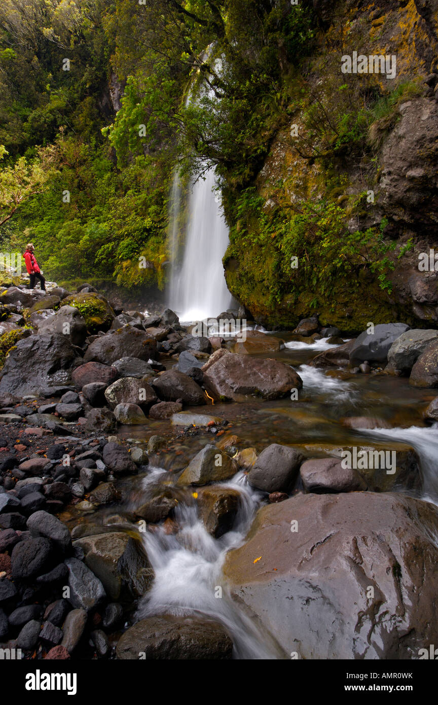 Dawson cade e flusso Kapuni visto lungo il Loop Kapuni via, Egmont National Park, Taranaki, Isola del nord, Nuova Zelanda. Foto Stock