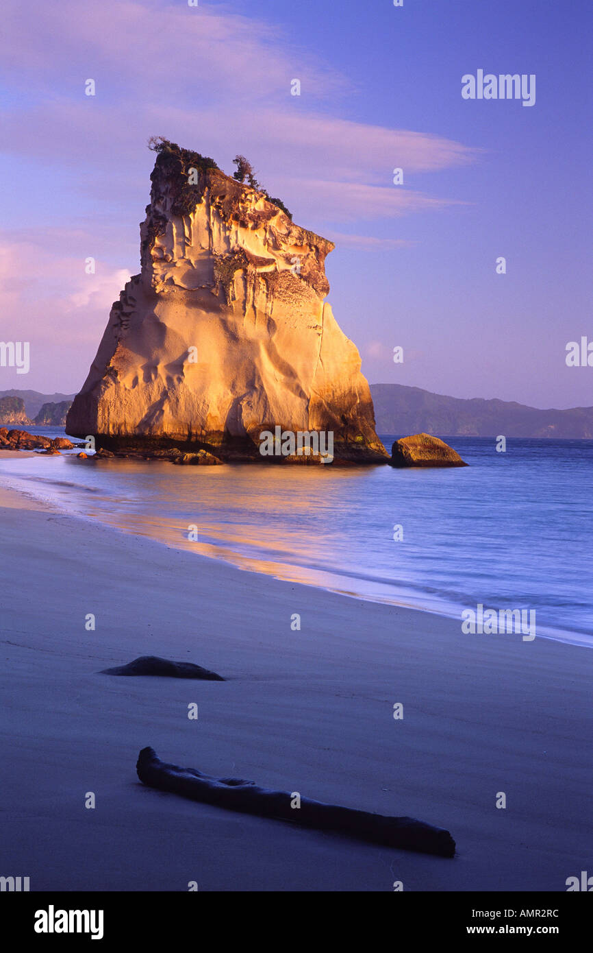 Hoho te Rock, Cove della cattedrale, Penisola di Coromandel, Nuova Zelanda Foto Stock
