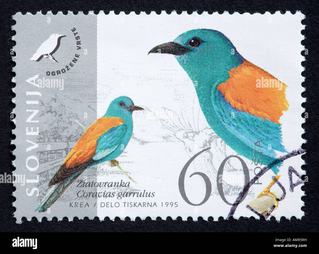 Lo sloveno francobollo Foto Stock