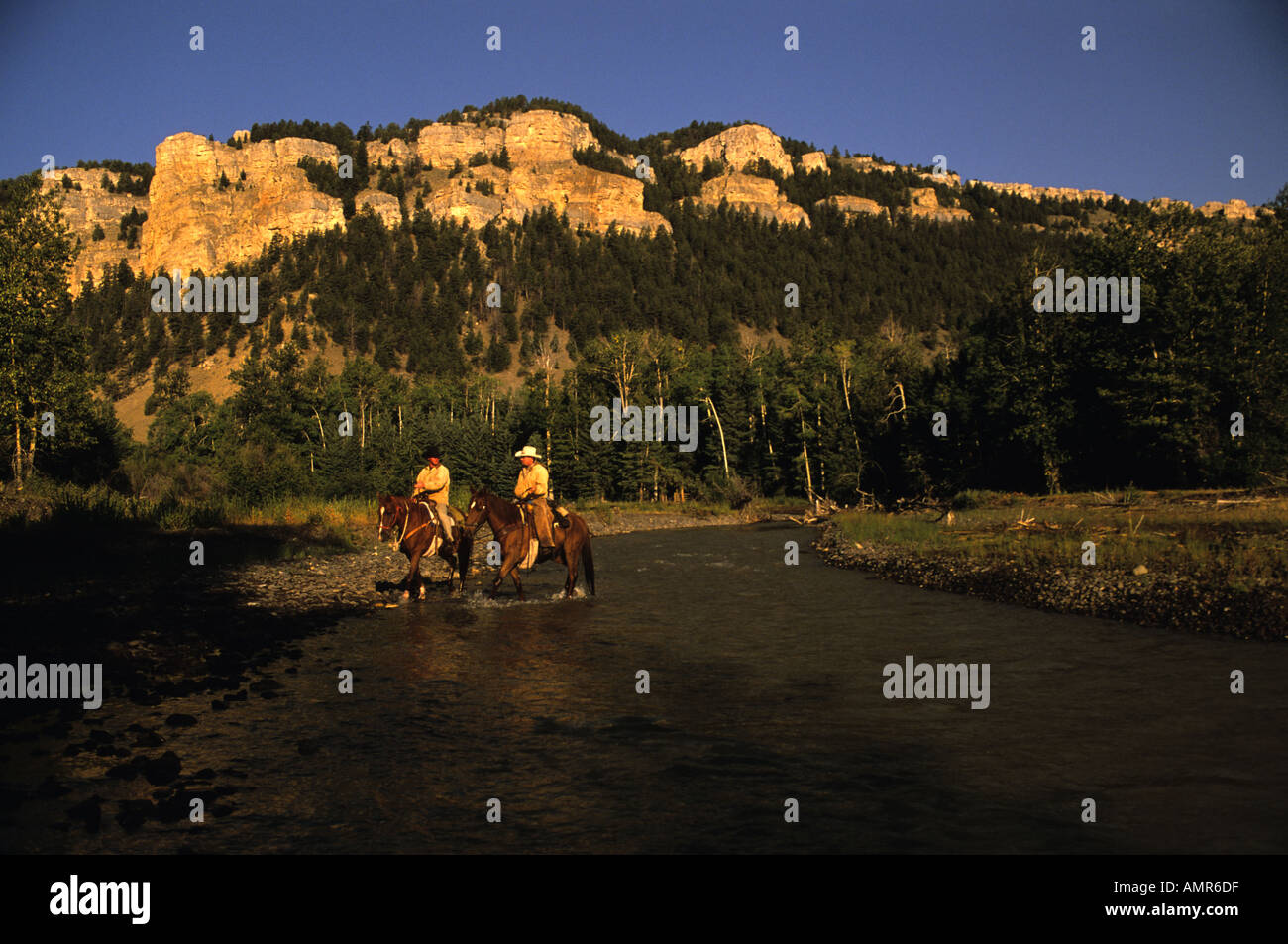 Due cowboy ride su un fiume sul 7D Ranch nel bacino di luce del sole a nord di Cody Foto Stock