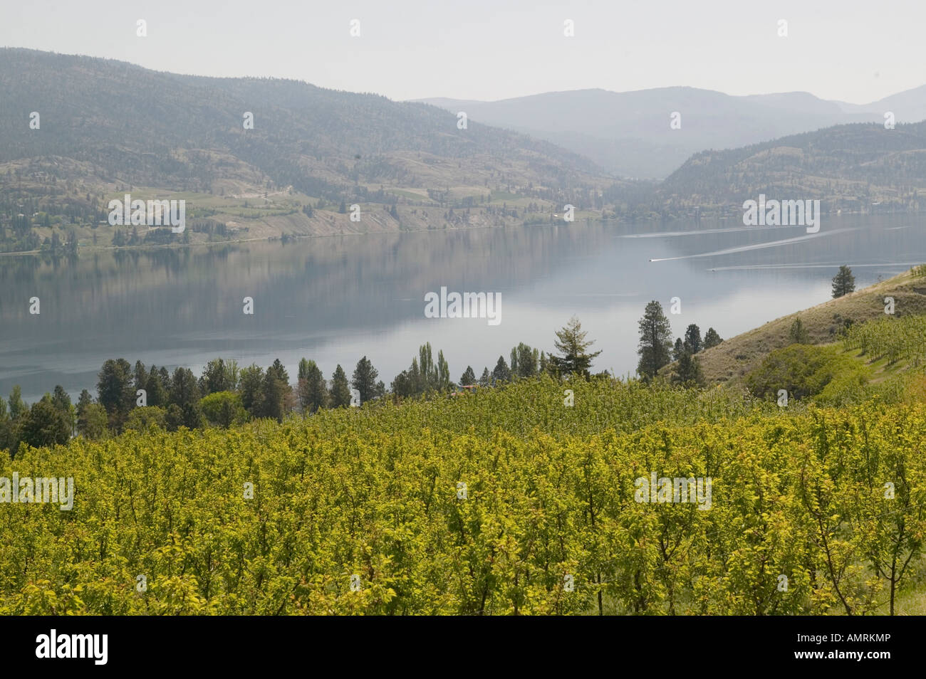 Penticton, Okanagan Valley, sud della British Columbia, Canada, Lago Okanagan Foto Stock