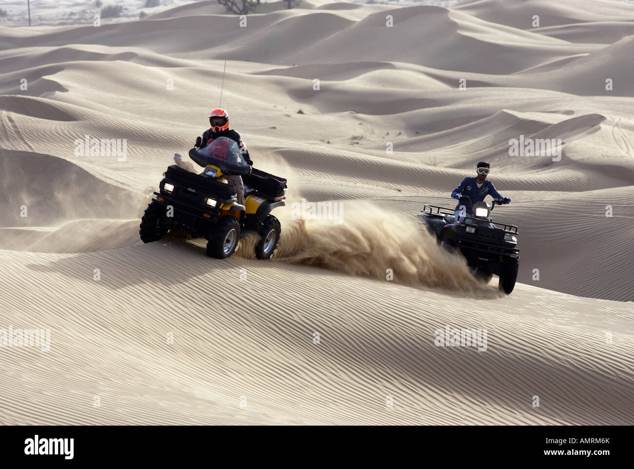 Persone a cavallo quad nel deserto Foto Stock