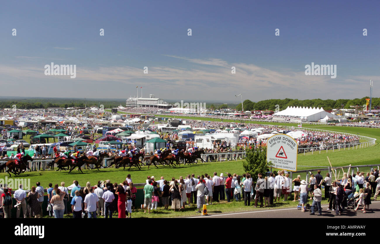 Un cavallo di razza presso la Epsom Downs corse di cavalli, Epsom, Gran Bretagna Foto Stock