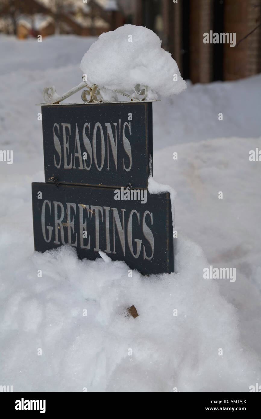 Canadian Inverno Ontario Ontario del nord tempesta di neve tempesta di neve paese paese rurale di Natale bianco White Christmas tree Foto Stock