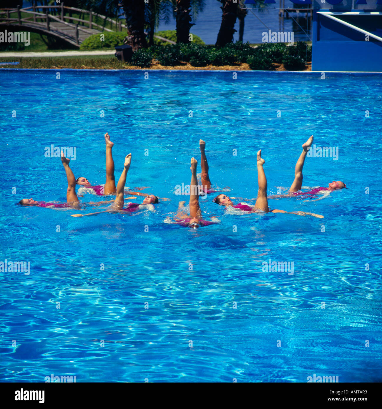 Nuoto sincronizzato eseguito da sei donne in rosa luminoso il costume da gambe rivolto verso l'alto in piscina Florida USA Foto Stock
