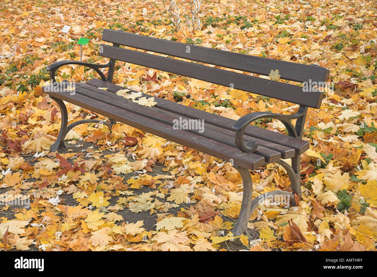 Una panchina nel parco con foglie cadute su di esso Foto Stock
