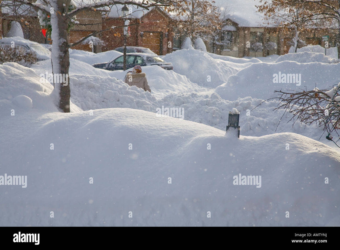 Coperta di neve suddivisione int tipico inverno canadese scene tratte vicino al Georgian Bay in Ontario del nord;Canada Foto Stock