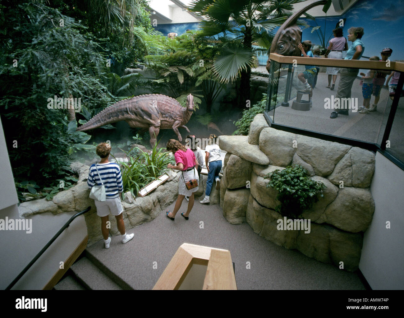Stati Uniti NEW MEXICO ALBUQUERQUE dinosauri in mostra presso il Museo di Storia Naturale e delle scienze in Albuquerque Foto Stock